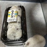 食べる方の豆大福と動く方の豆大福（提供：エニ氏【孫悟リラ/エイパス】さん）
