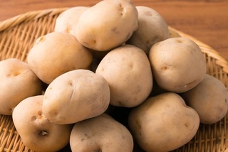 「ホクホク」で美味しいじゃがいも※画像はイメージです（skdkzhr/stock.adobe.com）