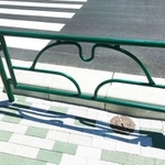 岡元さんが「キングオブガードパイプ」と称する都道イチョウガードパイプ。グリーン、白、ブラウンなど色展開も豊富