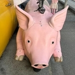 ブタのバイク（提供画像）