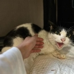 精一杯威嚇中w＝winwin321321さん提供