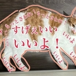 猫ちゃんのお触りマップ（提供：ネコである🐱さん）