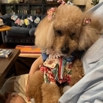 20歳の誕生日におめかししたゆずちゃん