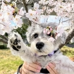 花にタッチ！（画像提供：ペレたんさん）