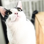 3年の月日を経て、やっと幸せをゲットしたジョンくん