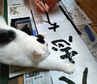 筆ちょんちょんしたいにゃん byまめ太（まめまめみるくさん提供）