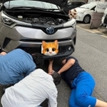 車の下から子猫たちを救出しようと試みるおじさんたち（櫻園さん提供）