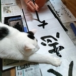 筆ちょんちょんしたいにゃん byまめ太（まめまめみるくさん提供）