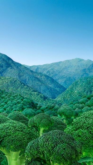 スマホ用の壁紙もあります（※縮小しています）（提供：ロート製薬）