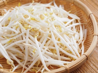お手頃価格でシャキシャキとした食感が美味しい「もやし」※画像はイメージです（karinrin/stock.adobe.com）