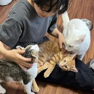 「フリースクールゆきレオ」は、居場所を求める子どもが猫と一緒に過ごせる場所（福本さんより提供）