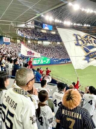 韓国人男性と一緒に観戦を楽しんだ日の京セラドーム大阪