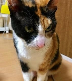 ミーナと出会うのを待っていてくれる人がいると信じた日々でした