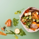 ニオイが気になることも多い「生ゴミ」※画像はイメージです（Olga Mishyna/stock.adobe.com）