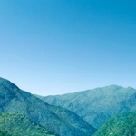 スマホ用の壁紙もあります（※縮小しています）（提供：ロート製薬）