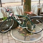 ちょっと自転車を停めただけのつもりが…　※画像はイメージです（Caito/stock.adobe.com）