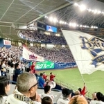 韓国人男性と一緒に観戦を楽しんだ日の京セラドーム大阪