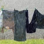 雨に濡れた洗濯物は洗い直すべき！？※画像はイメージです（mobilise248/stock.adobe.com）