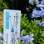 ネットでは入手困難ですが、神社では常に頒布されているとのこと