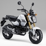 ホンダの原付二種のバイク「グロム」の魅力に迫ります