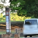 どうか奈良公園周辺では速度を落して慎重に運転して下さるように（川地さん提供）