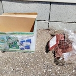 千葉県内のとある河原にあった洗剤の段ボールとネズミ取りカゴ