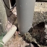 たしかにピンクの繊維がびっしり…（MA--kunさん提供）