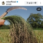 ROLA（@rolaofficial）さんのインスタグラムより