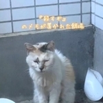 「殺すぞ」とメモ書きが置いてあったビルの餌場（MIKIMOKOさん提供、Instagramよりキャプチャ撮影）