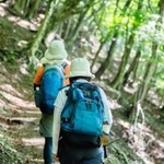 登山・ハイキング愛好者が推す低山は？　※画像はイメージです（taka/stock.adobe.com）