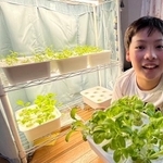 ほうれん草やレタスなど、数種類の野菜を育てることができます（提供：悟空のきもちTHE LABO）