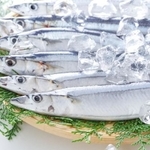 秋の旬の魚「さんま」はおいしく冷凍できる？※画像はイメージです（PhotoAC）