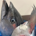 「頑張れば98円でお寿司が作れます」（荒木鮮魚店提供）