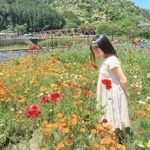 インスタグラム（＠seira_123cm）より提供