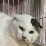 個性的な模様もかわいい