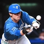 俊足強肩の外野手である江越大賀選手（2023年5月撮影）
