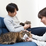 世帯年収が高くなるほどペットを飼っている人が増える傾向　※画像はイメージです（kazoka303030/stock.adobe.com）