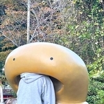 大きく開いた口に頭を入れるぬおたんさん（画像提供：ぬおたんさん）