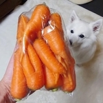 「見た目からワクワクする人参」開けてみると…（画像提供：くーさんママさん）