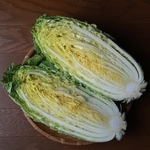 白菜お役立ちの季節到来！※画像はイメージです（apple713/stock.adobe.com）