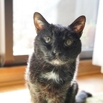 21歳まで生きてくれたビッケくん