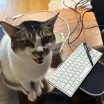膝に乗れたね。おめでとう！（おがきちかさん提供）