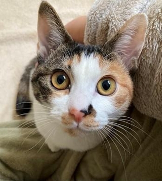 吸い込まれそうなキュルン顔