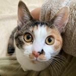 吸い込まれそうなキュルン顔