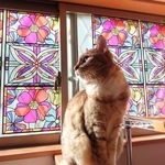 一緒に過ごせた日々は宝物