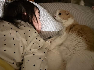 息を引き取る2時間ほど前、眠っている2歳の愛娘のそばに横たわったという愛猫のエピソードがXで話題に（飼い主さん提供）