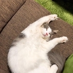 お迎え時は生後5カ月