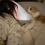 息を引き取る2時間ほど前、眠っている2歳の愛娘のそばに横たわったという愛猫のエピソードがXで話題に（飼い主さん提供）