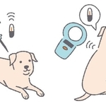 マイクロチップを装着する犬（ちよちよ/stock.adobe.com）