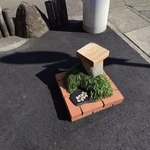 オブジェとして自室に飾っておきたくなるようなサイズ感（画像提供：浜松在住の木村さん）